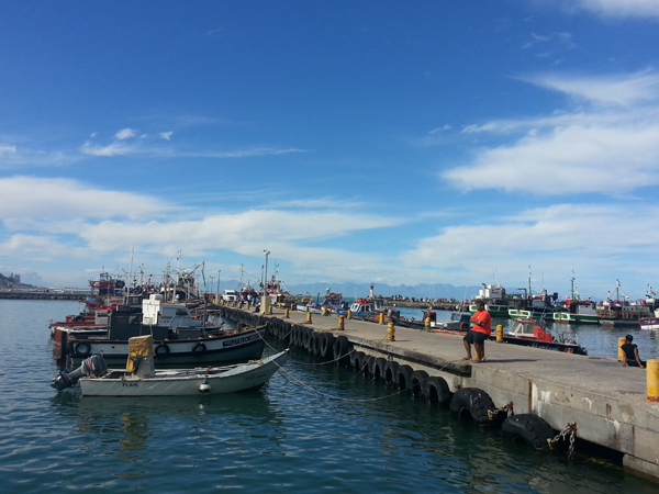 Review: Cape Town’s most charming seafood spot, Kalky’s in Kalk Bay ...