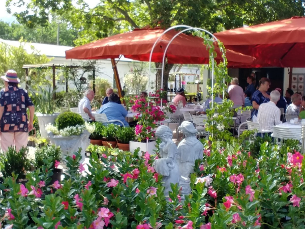 Fiore Garden Centre & Coffee Shop (Greyton)