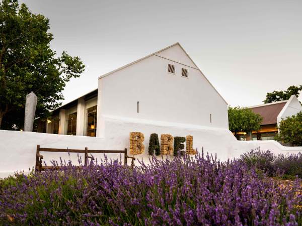 Babel at Babylonstoren