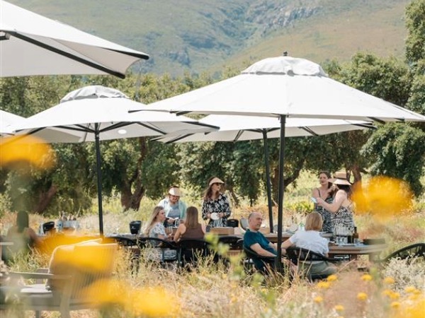 Discover Stellenzicht’s Eco Wine Pod: a blend of wine, nature, and sustainability