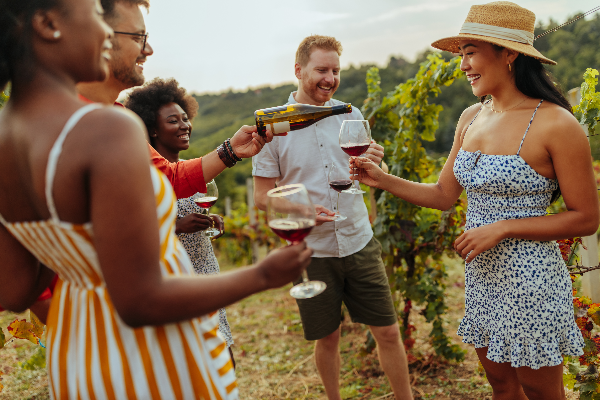people sipping wine in vineyards