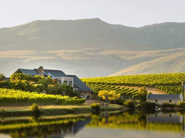 Wine Farm Feature Image